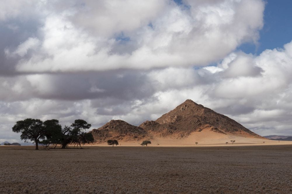 Prima Zoom, 4. týden 2018