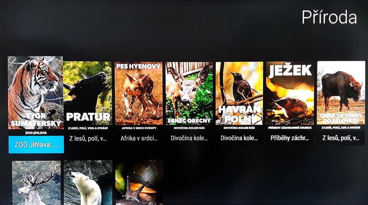 SledováníTV - Filmy