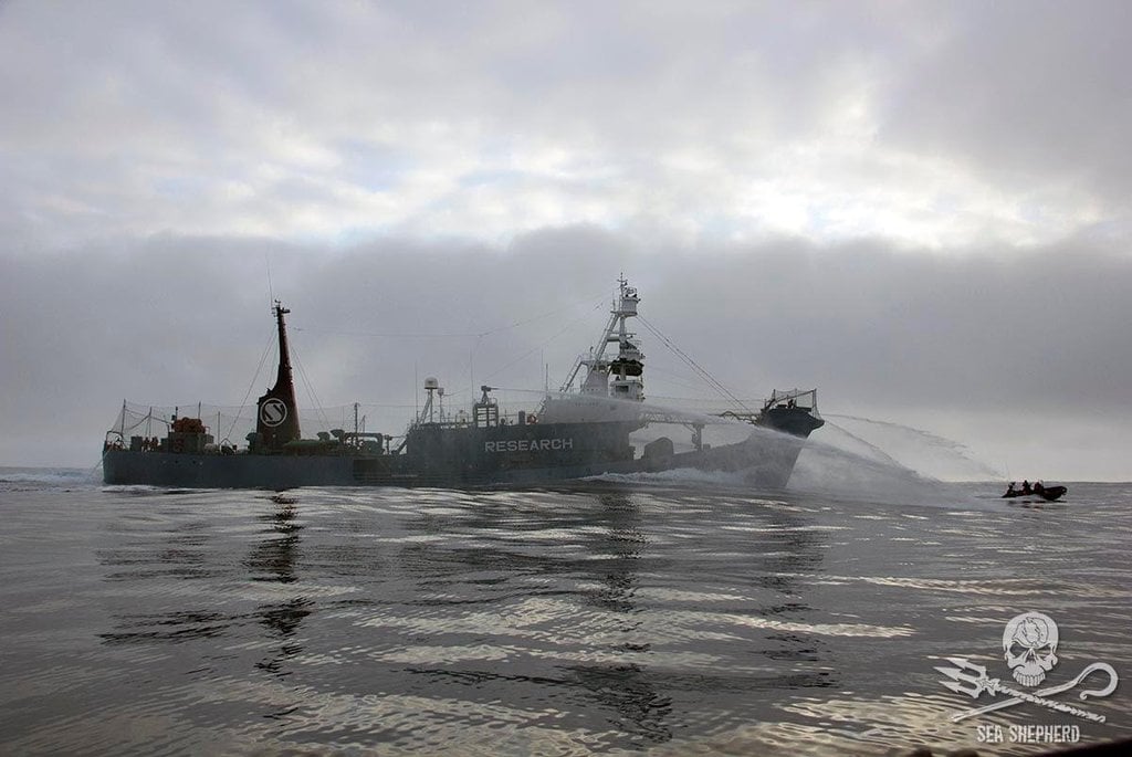 2019-05-sea-shepherd.jpg