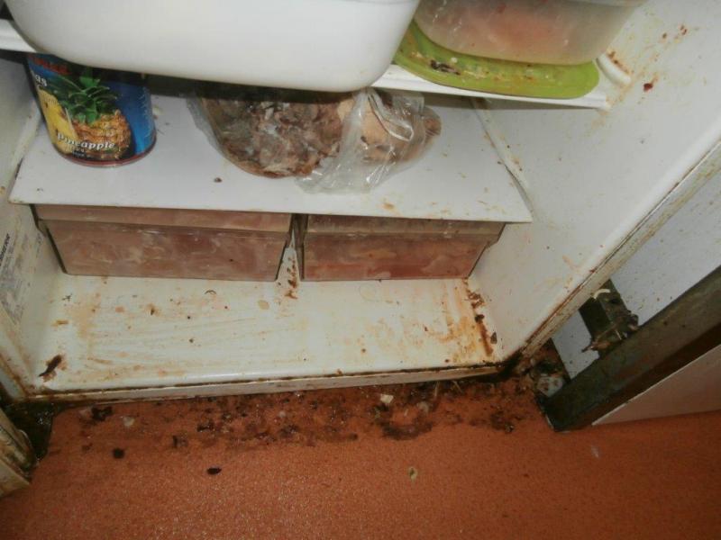 Čínská restaurace Xin Dong Hai, Praha 1