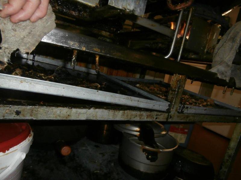 Čínská restaurace Xin Dong Hai, Praha 1