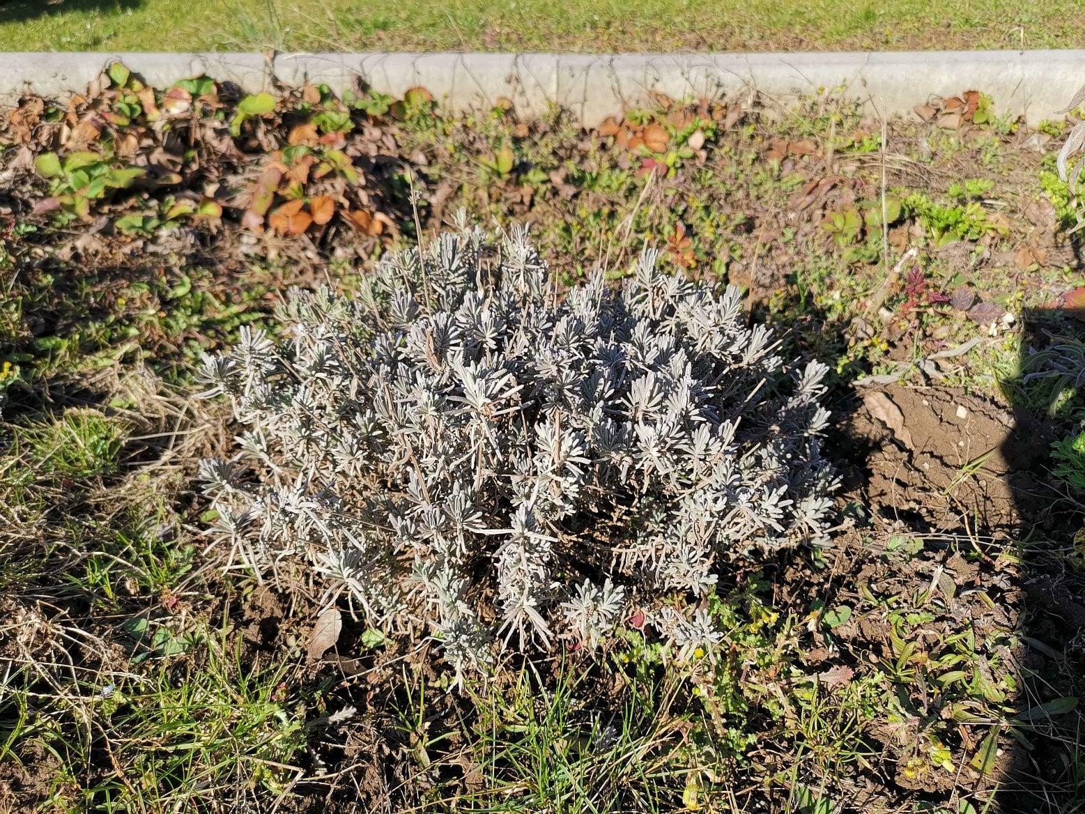 foto Huawei Mate 20 Pro 13