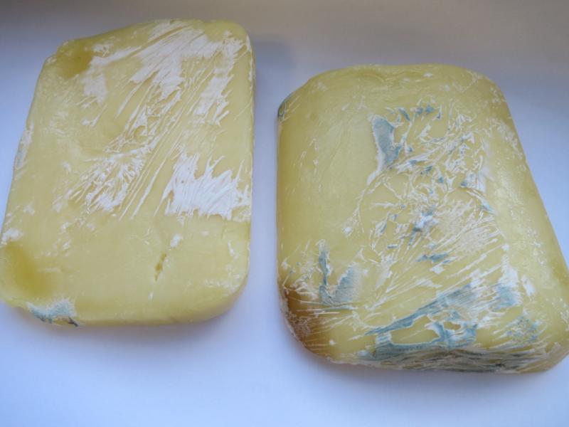 Sýr Gouda 48%. Kategorie: Nebezpečné potraviny. Nevyhovující parametr: plísně okem viditelné. Na povrchu potraviny se vyskytovaly kolonie plísní bílé a zelené barvy. Při kontrole nebyly zjištěny nevyhovující teplotní podmínky skladování tohoto výrobku. Výrobek neměl prošlé datum použitelnosti. Země původu: Německo. Místo kontroly: AHOLD Czech Republic, a.s., Prostějov