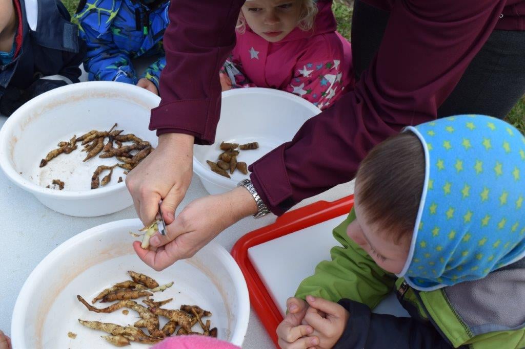 Do školky Semínko byste chtěli chodit také