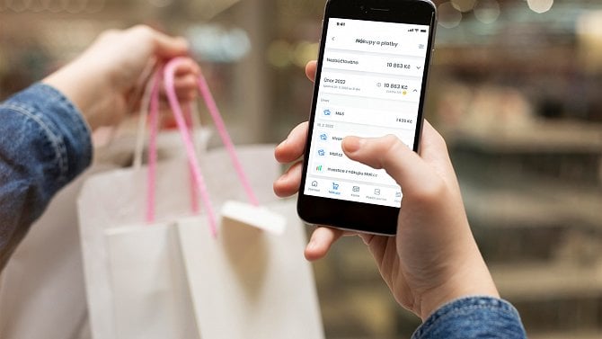 Skip Pay, placení, platební karty, eshop, nákup
