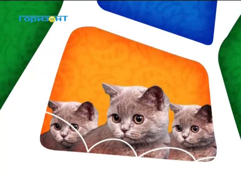 Nové hvězdy na satelitním nebi 3. až 5. dubna