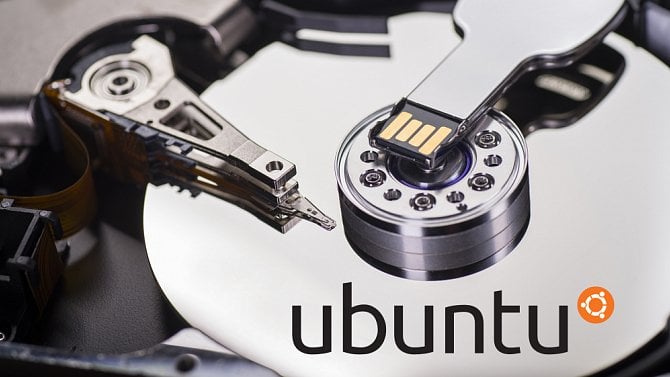 Ubuntu ZFS disk