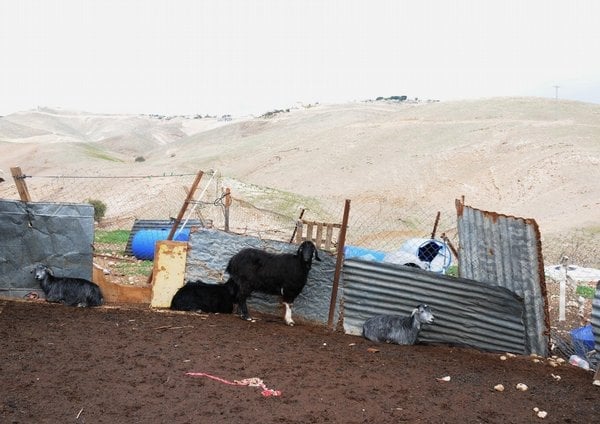 2014-09-beduc3adni-uc5be-nekoc48dujc3ad-dnes-c5beijc3ad-v-chatrc