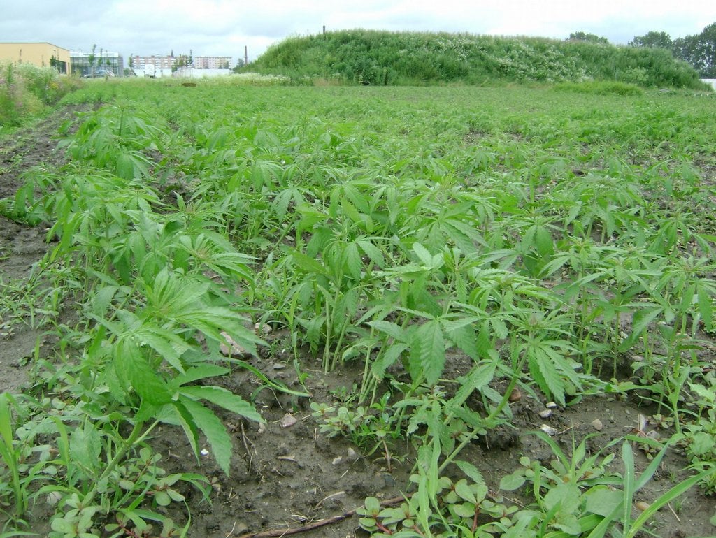 2019-02-centrum-regionu-hanc3a1-pro-biotechnologickc3bd-a-zemc49