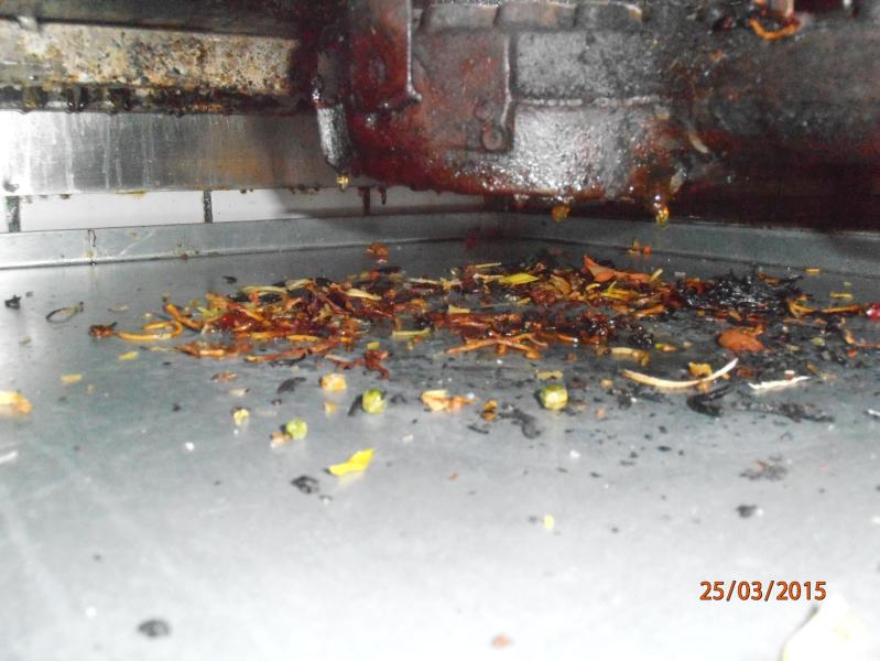 Golden Sun, Havlíčkův Brod