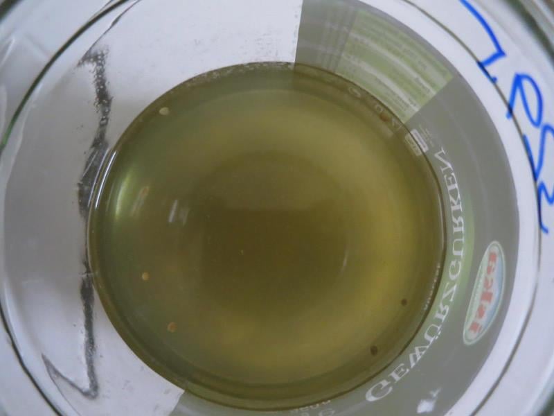 President´s Group, Mladá Boleslav: Nakládané okurky - výrobek byl prodáván téměř dva roky po datu minimální trvanlivosti. Nálev okurek byl silně zakalený, okurky byly na skusu měkké, netypická konzistence.