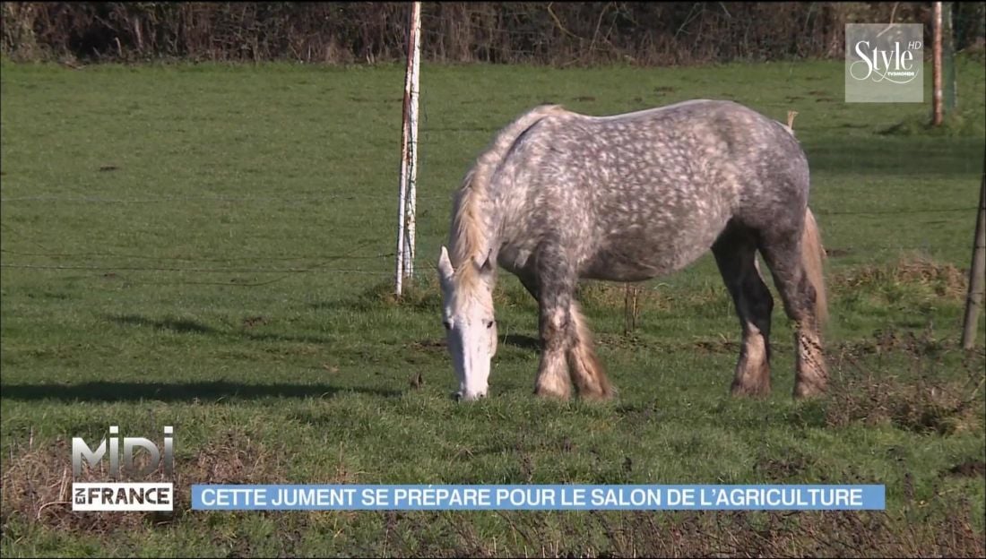 Nejzajímavější satelitní kanály v červenci 2017