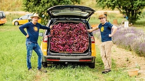 Náhledový obrázek - Bez éček a technických šméček. Rakouská značka čajů a koření Sonnentor je na českém trhu již 30 let