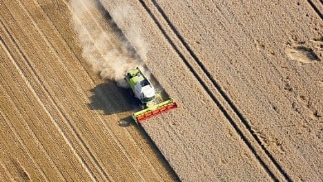 Náhledový obrázek - Komentář: Kruh ruské pšenice se uzavřel