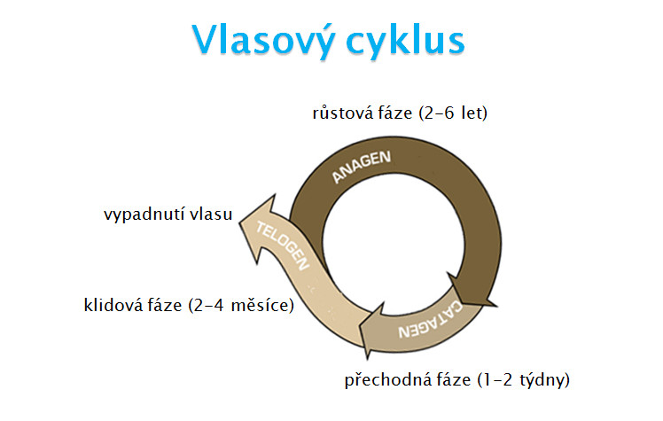 Téma vlasy: Tohle byste na hlavě mít nechtěli