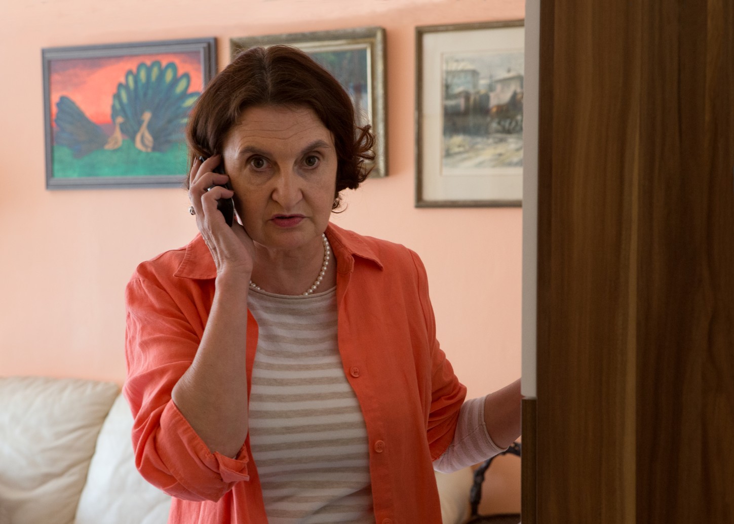 Filmové povídky Škoda lásky během Vánoc 2013 v České televizi