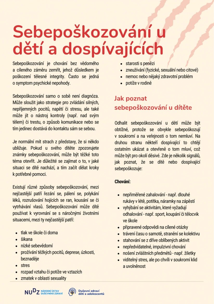 Projekt Dušení zdraví dětí a adolescentů spadá pod Národní ústav duševního zdraví.