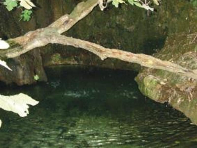 2014-03-v-zemi-bohync49b-afrodity-se-pc599ipravte-na-legrc3a1cky