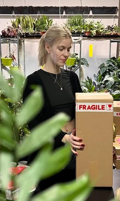 Pokojovky si speciálně zabalené můžete nechat doručit až domů