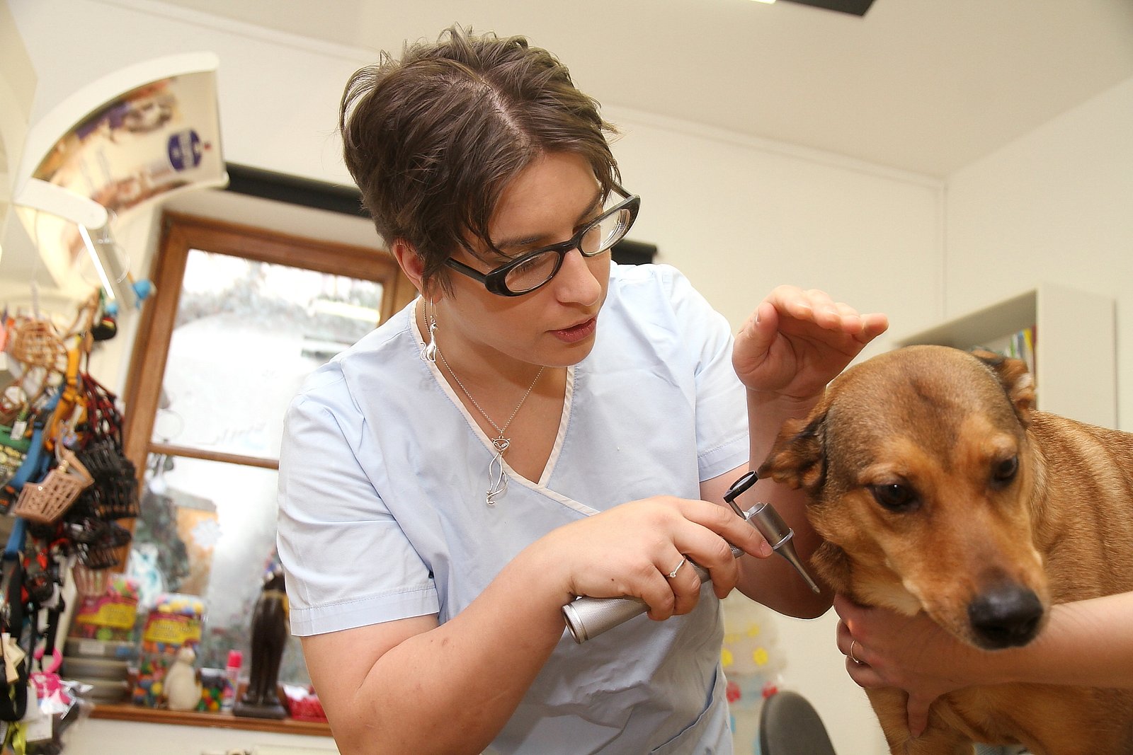 Nahlédněte do zajímavého prostředí veterinární ordinace.
