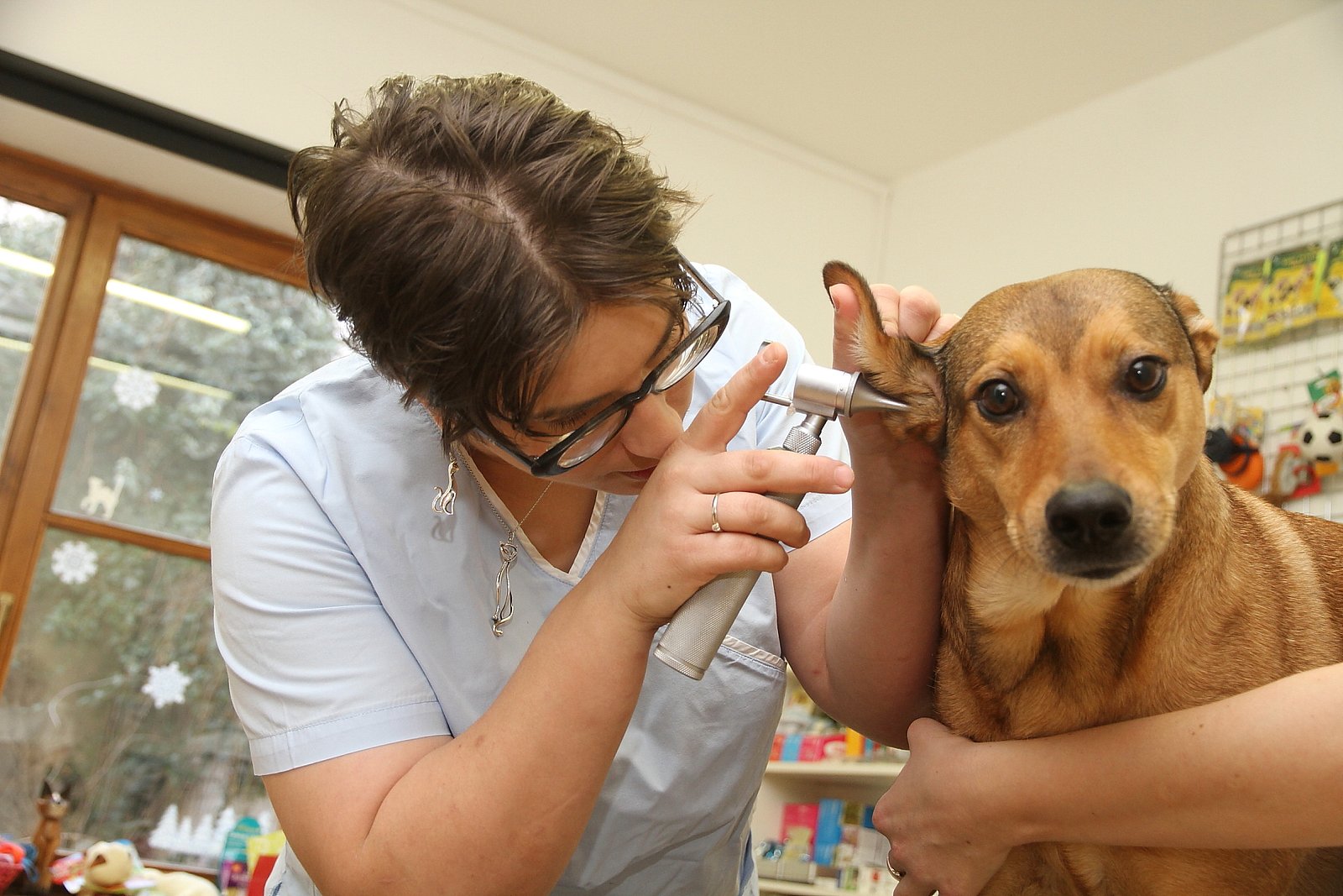 Nahlédněte do zajímavého prostředí veterinární ordinace.