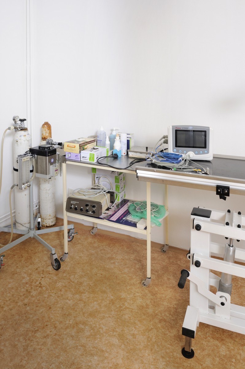 Nahlédněte do zajímavého prostředí veterinární ordinace.