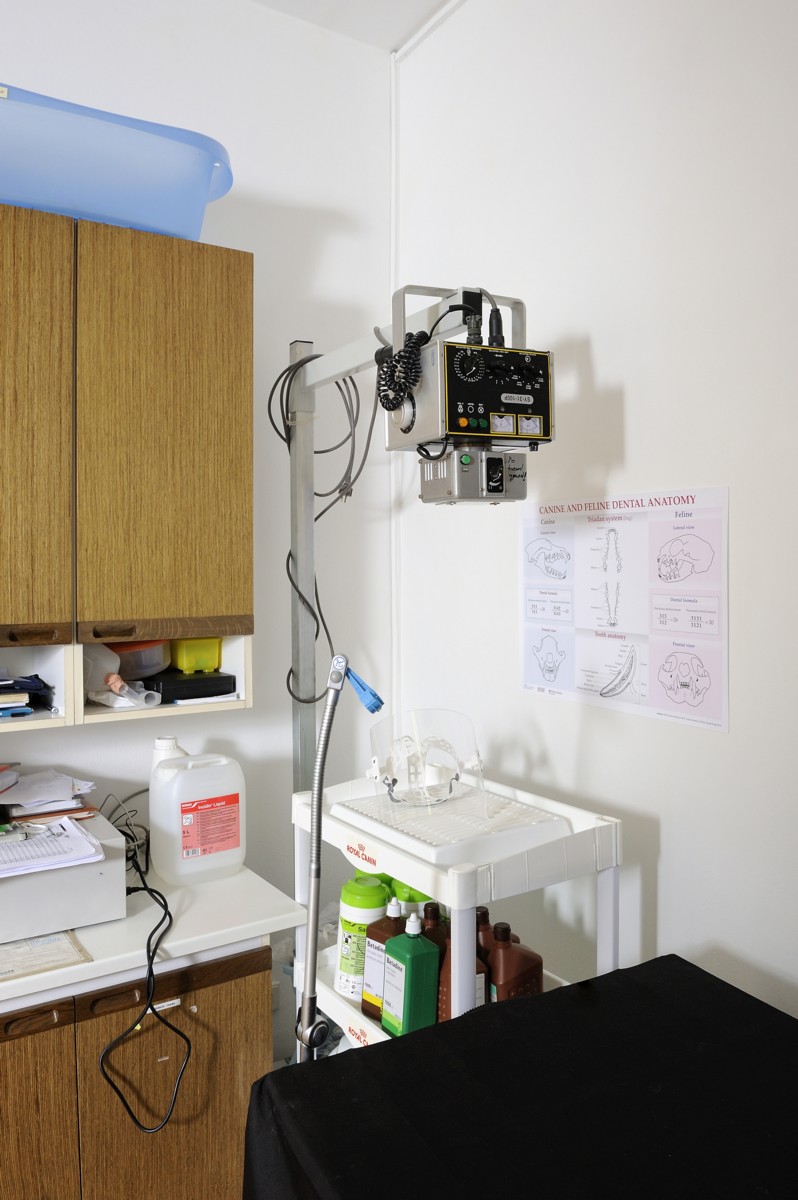 Nahlédněte do zajímavého prostředí veterinární ordinace.