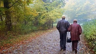 Náhledový obrázek - Na léčbu pacientů s Alzheimerem dají pojišťovny více než miliardu