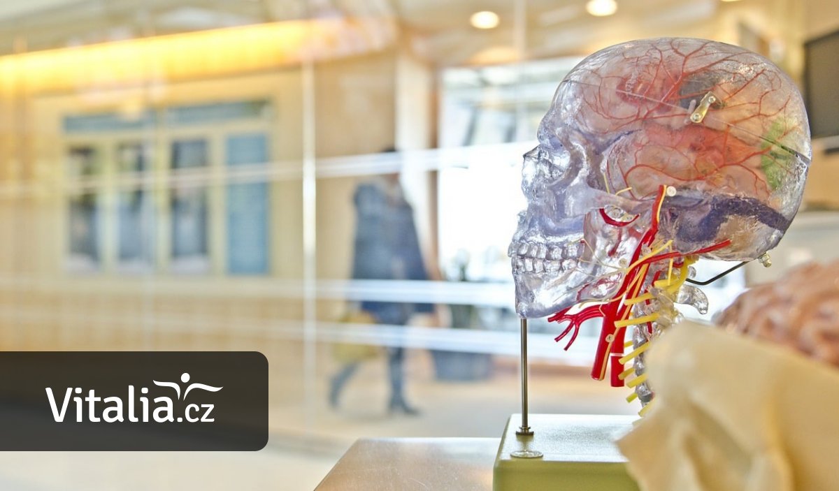 Když léky a režim nestačí. Centra pro epilepsie léčí těžké případy