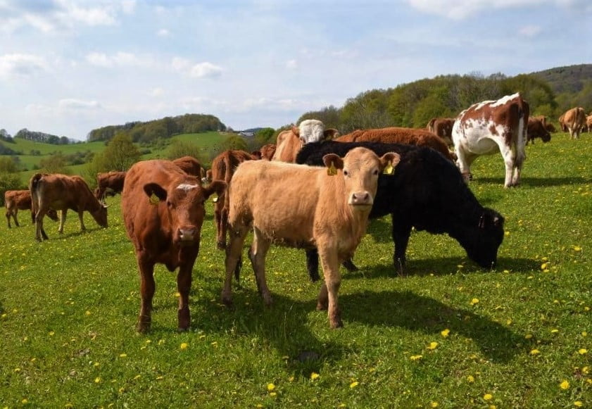 Farmářský trh Heřmaňák - první trh bez igelitek