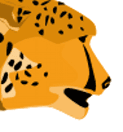 <p>&#160;</p>