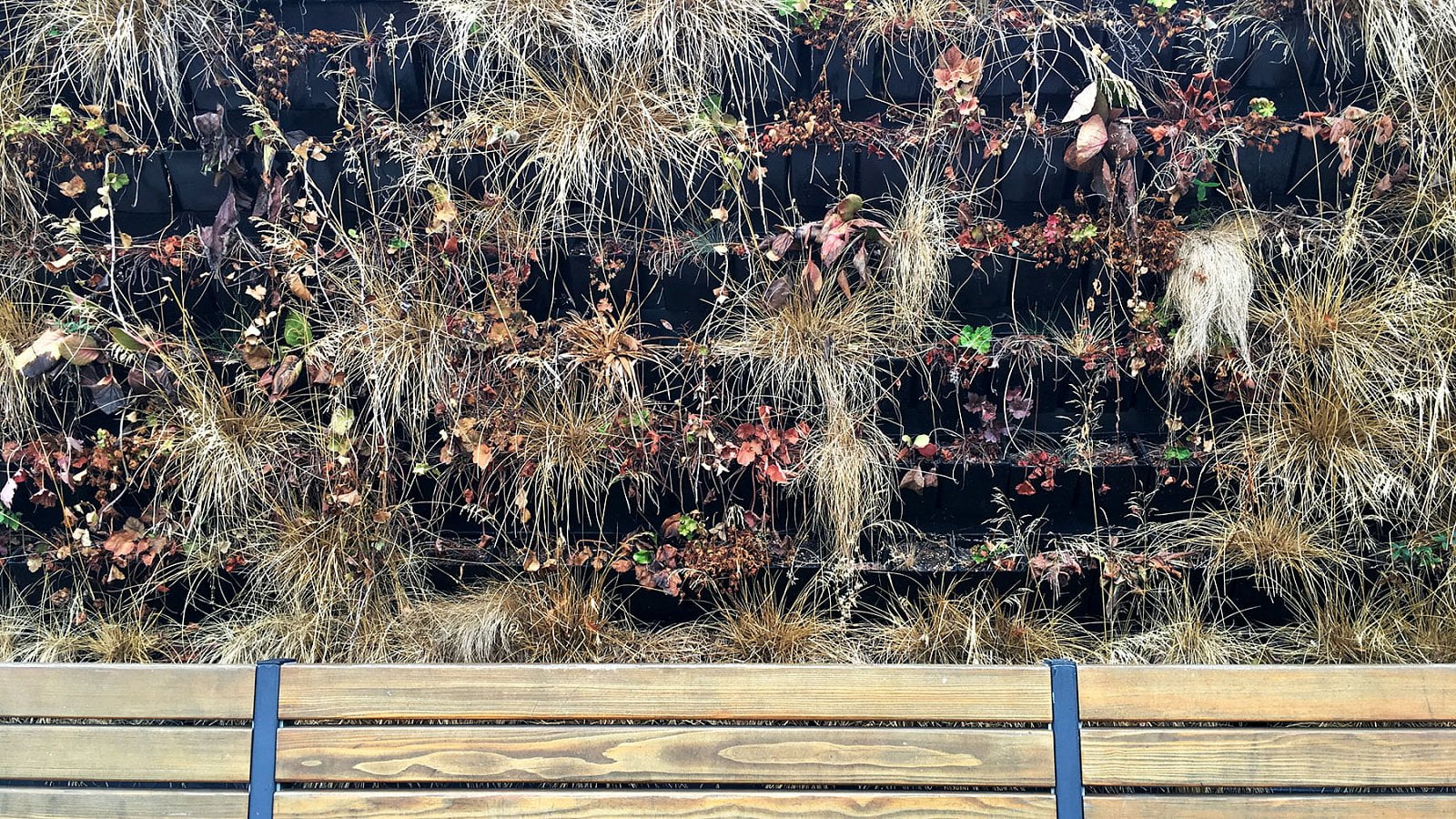 Současný stav lavičky (29. 8. 2019)