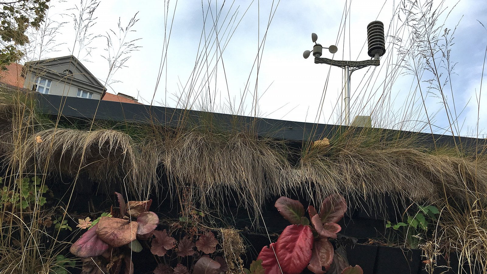 Čidla (snad) ještě fungují. (29. 8. 2019)