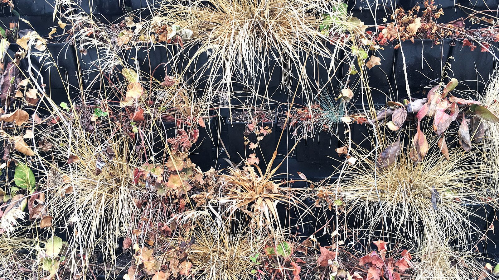 Posadíte se? (29. 8. 2019)