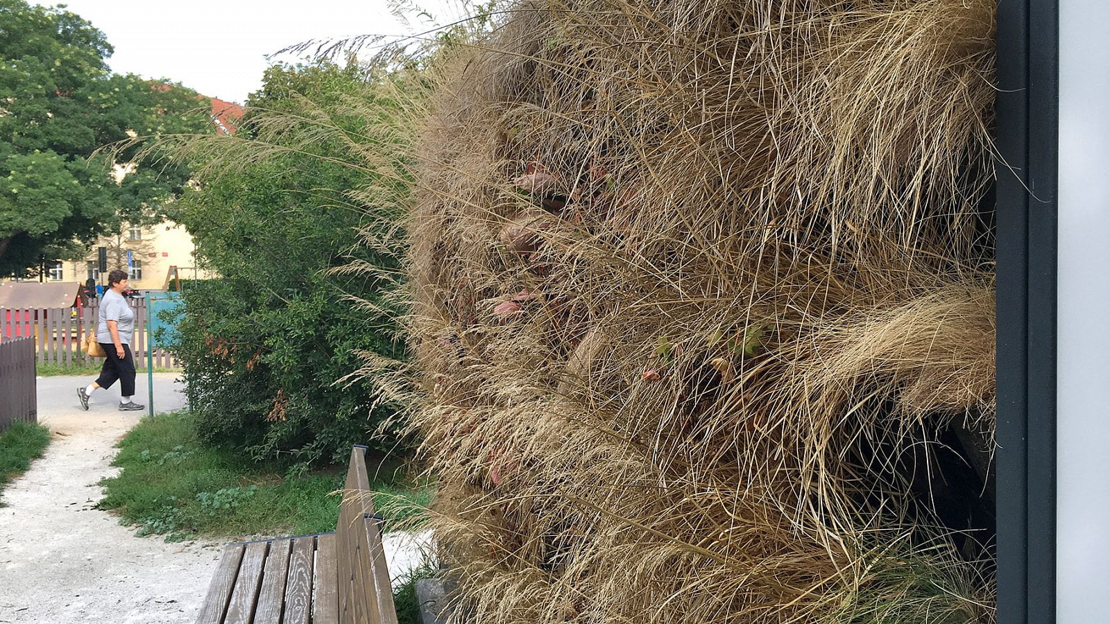 Současný stav lavičky. Tvrzení, že zelená je tráva, evidentně neplatí. (29. 8. 2019)