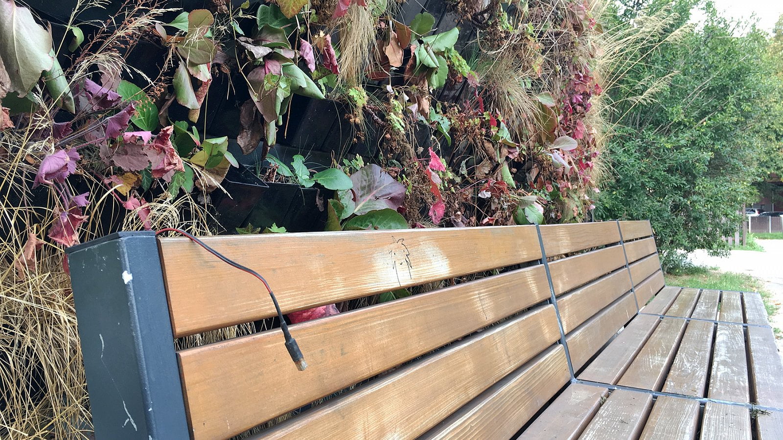 Současný stav lavičky. Některý list je ještě zelený, moc jich ale není. (29. 8. 2019)