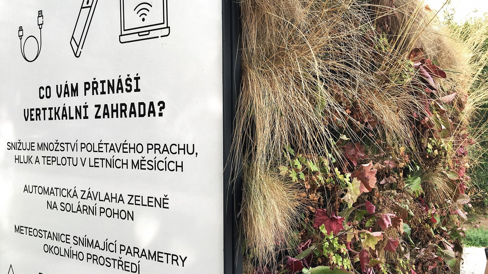 Co vám přináší vertikální zahrada? Teď už asi nic... Současný stav lavičky (29. 8. 2019)