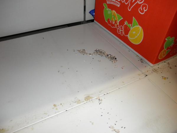 Stopy hlodavců odhalené při kontrolách prodejen