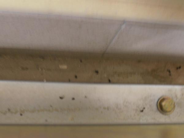 Stopy hlodavců odhalené při kontrolách prodejen