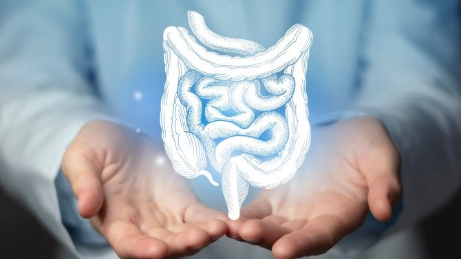 Jarní detox, střevní mikrobiom