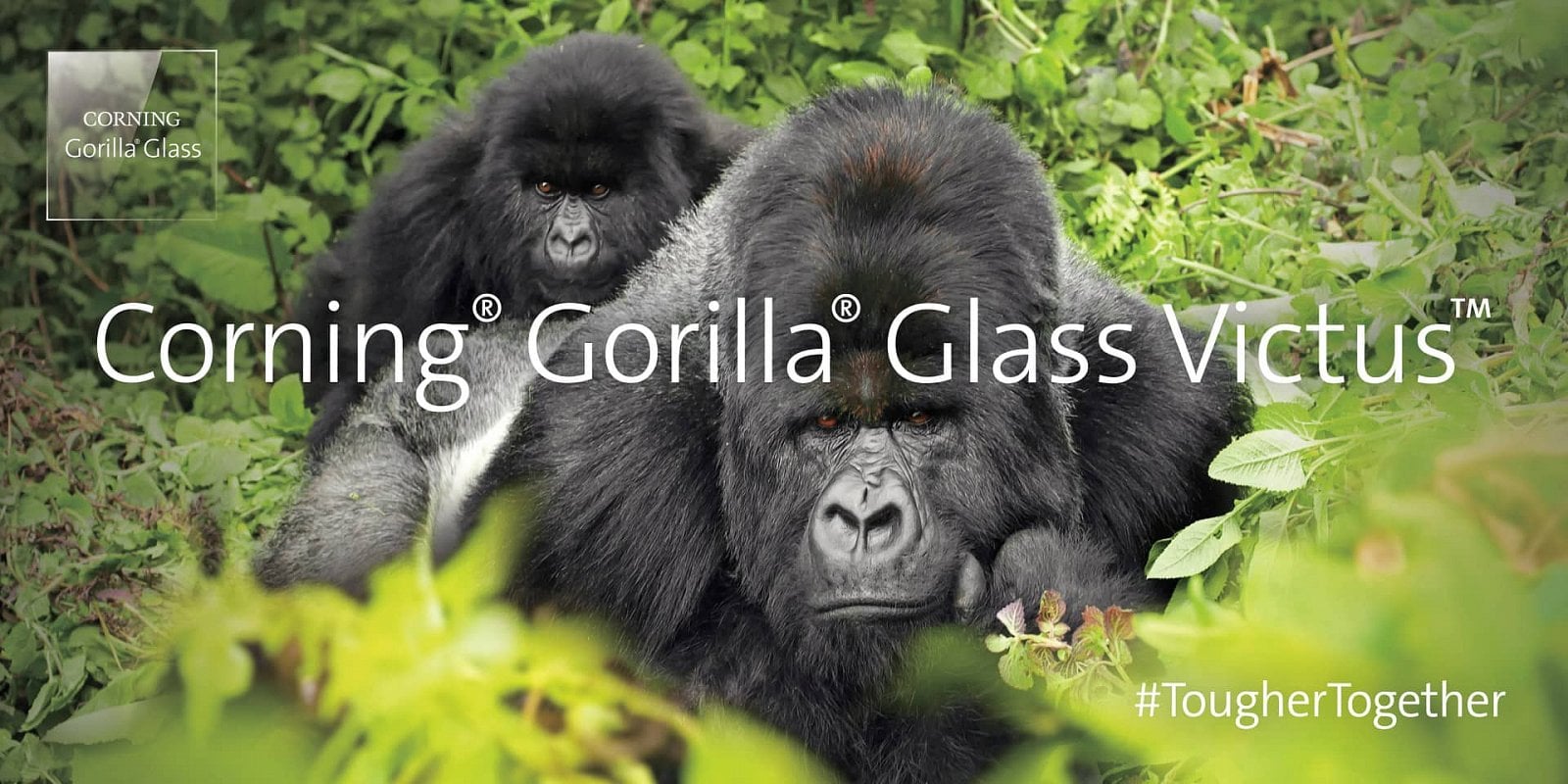 2020-08-Corning-Gorilla-Glass-Victus.jpg