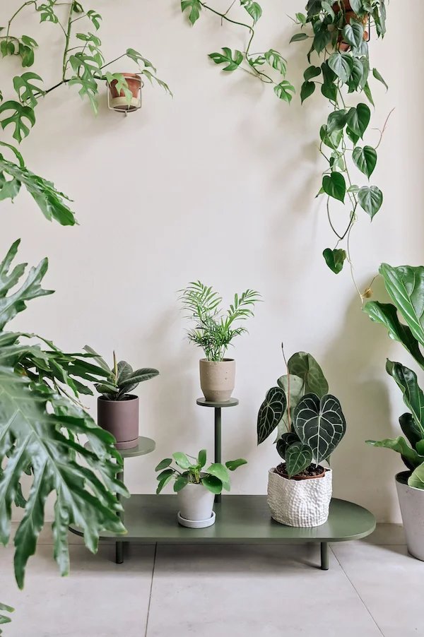 Výroba nábytku a bytových doplňků má v Česku dlouhou tradici a k jejím ikonickým prvkům patří i květinové stolky, které ještě v 80. letech 20. století nesměly chybět v žádné domácnosti.