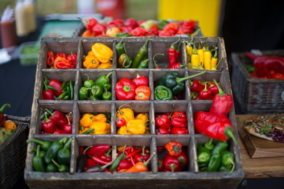 Cheese and Chilli Festival