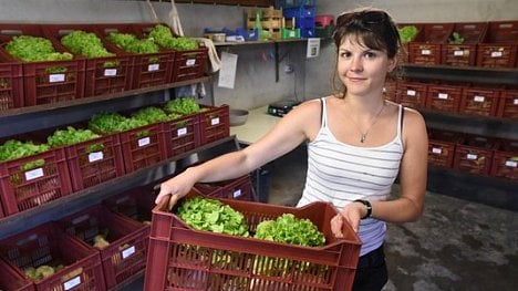 Náhledový obrázek - Rozhodují minuty. Firmy rozvážející potraviny hledají zkratky k zákazníkům