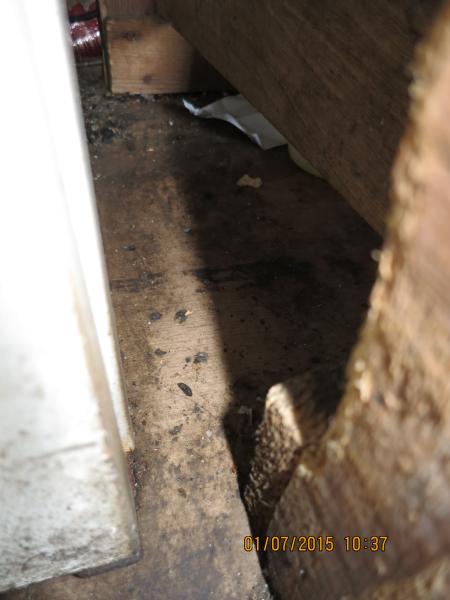 Restaurace ASIA-IMBIS, Česká Kubice