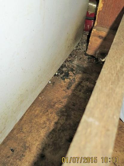 Restaurace ASIA-IMBIS, Česká Kubice