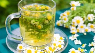 Náhledový obrázek - Účinky heřmánku jsou známy již od starověku. Nejčastěji se využívá při zažívacích potížích