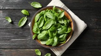 Náhledový obrázek - Bazalka je spojována hlavně s italskou kuchyní. Má ovšem i blahodárný vliv na lidské zdraví