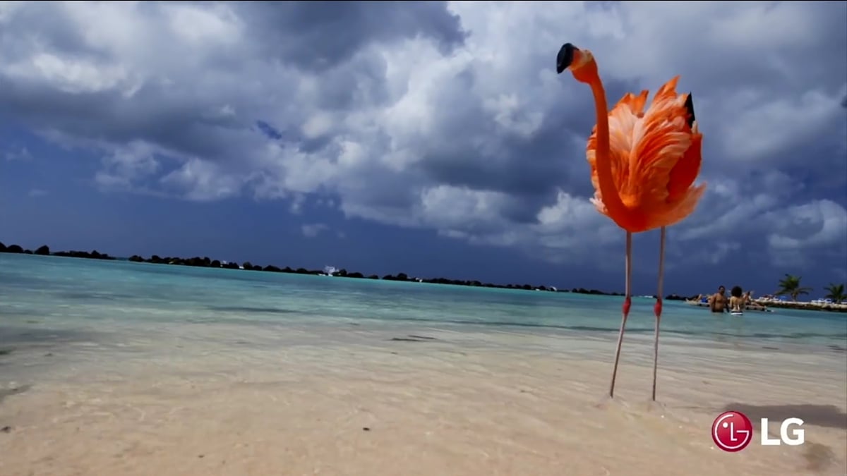 Ukázky přehrávání