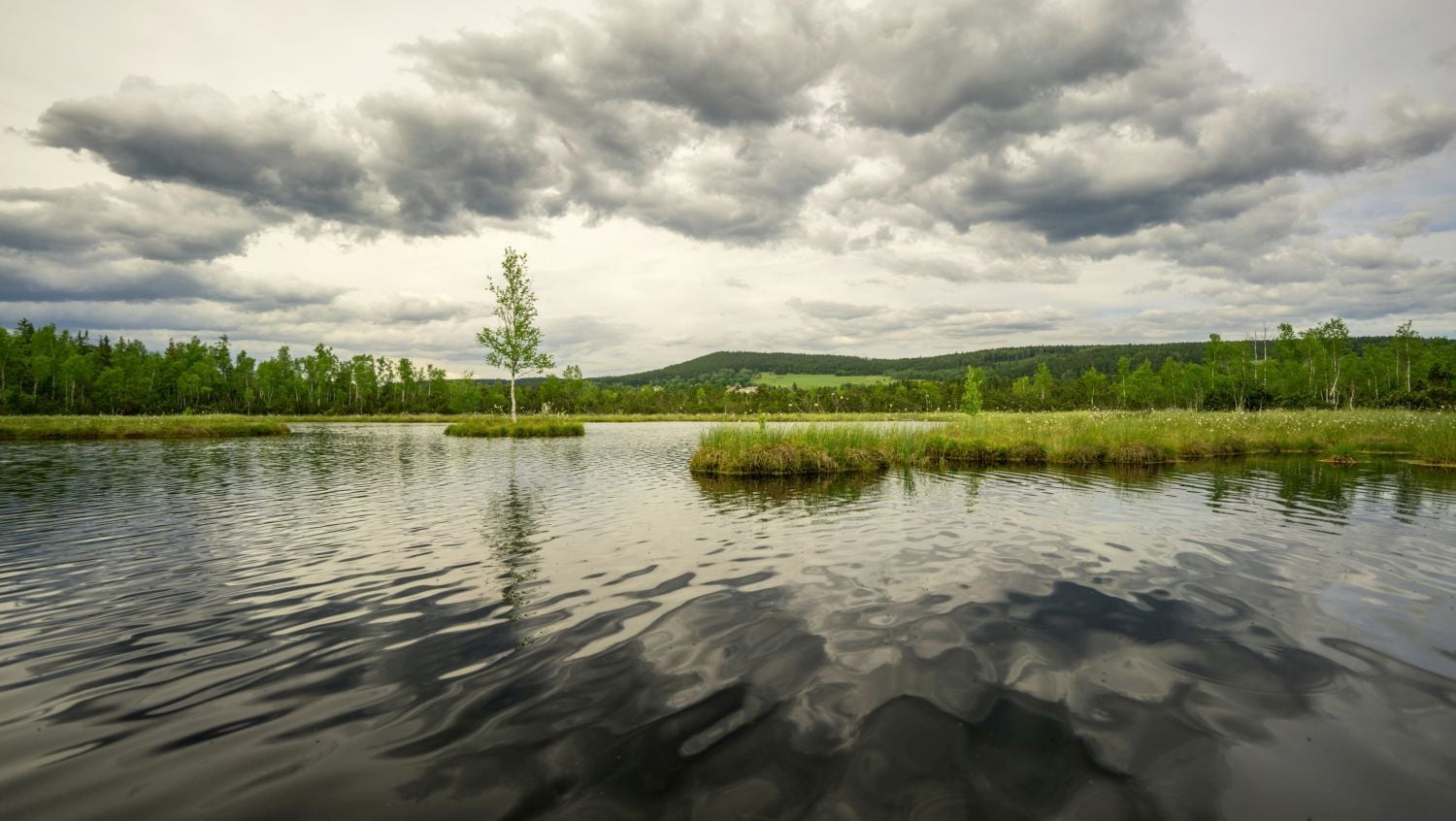 Krajinou domova II - ČT, 2017